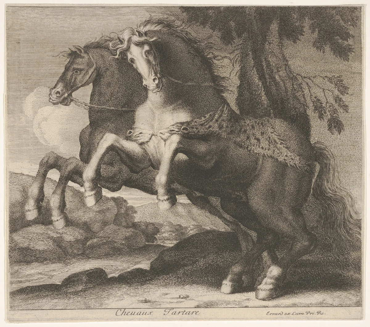 Chevaux Tartare by Charles Errard le fils, print, 1606-1689