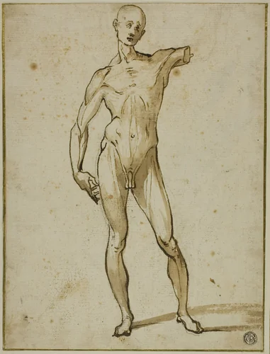 Flayed Man by Ludovico Cardi, drawing, 1600-1625