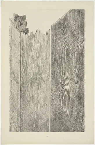 Shaving the Walls (Rasant les murs) from Natural History (Histoire naturelle) by Max Ernst, print, 1925