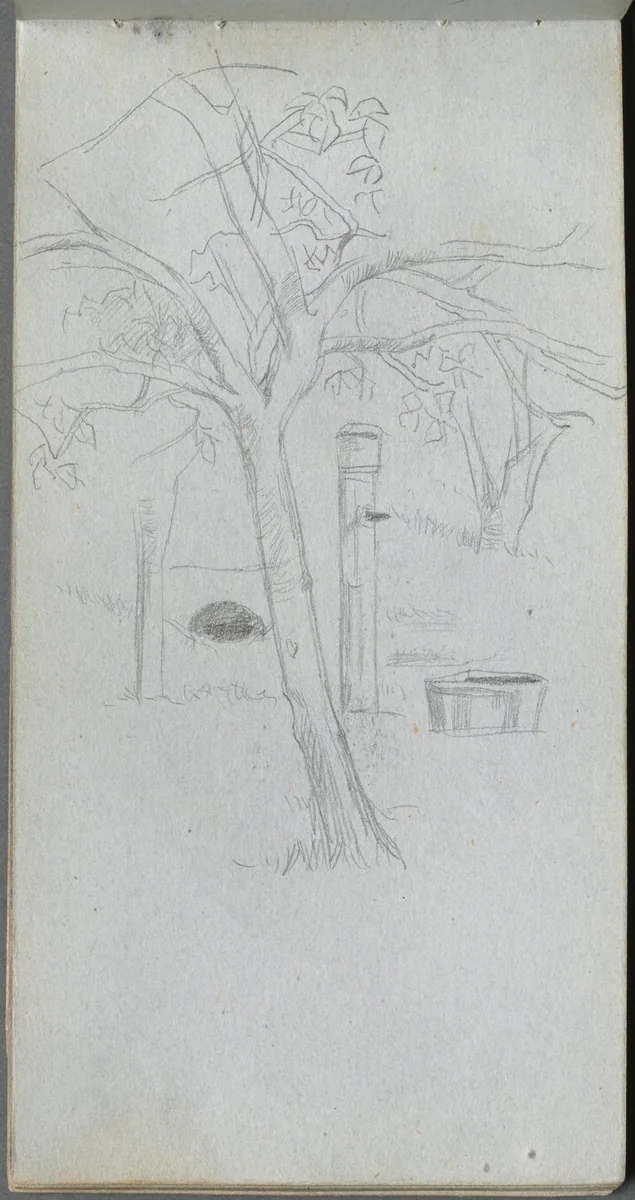 Sketchbook, page 36: Tree Study by Ernest Meissonier, book, 1860-1869