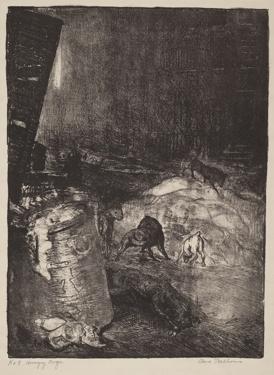 Hungry Dogs, second stone by George Bellows, print, 1916