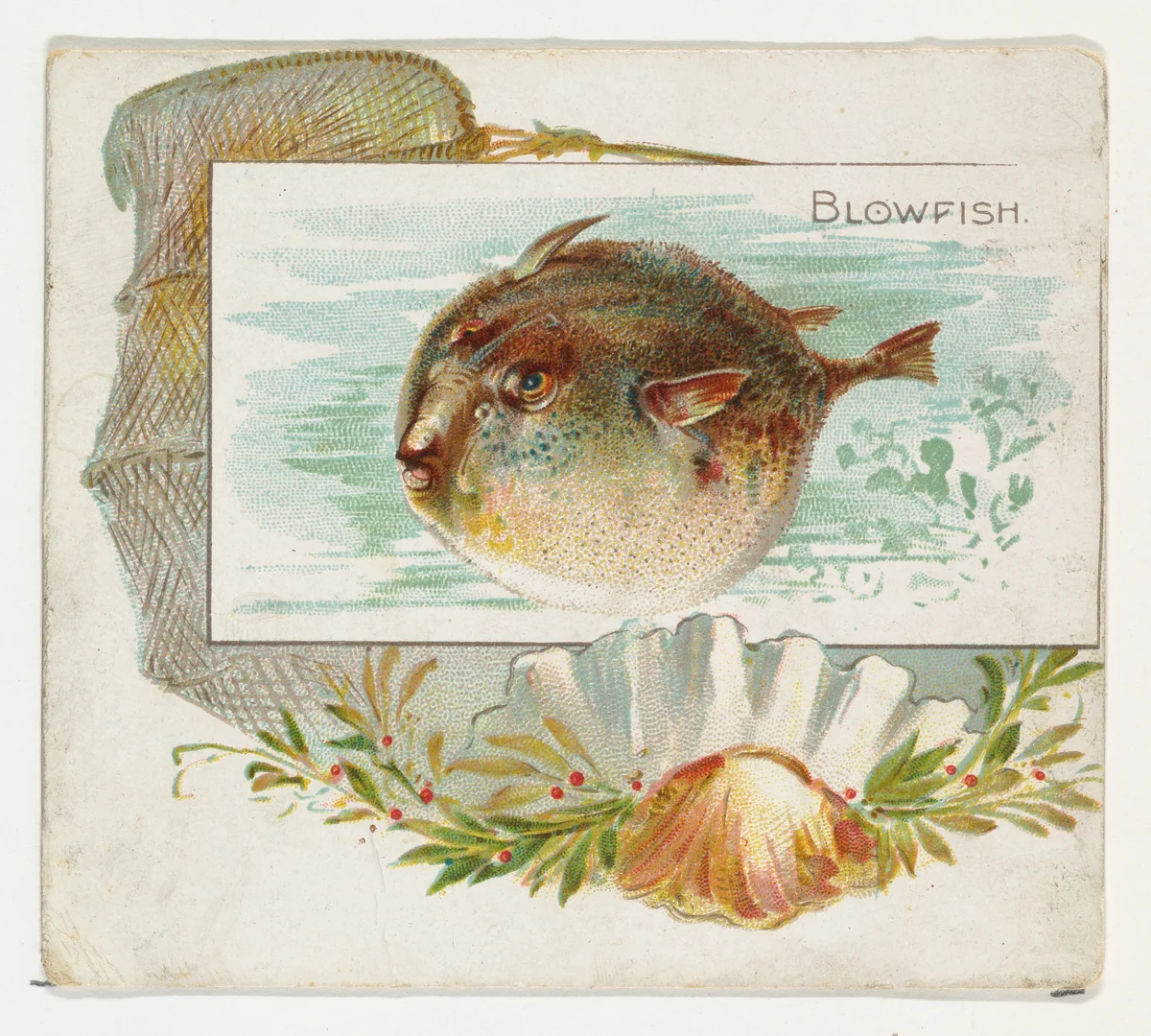 Blowfish, from Fish from American Waters series (N39) for Allen & Ginter Cigarettes by Allen & Ginter, print, 1889