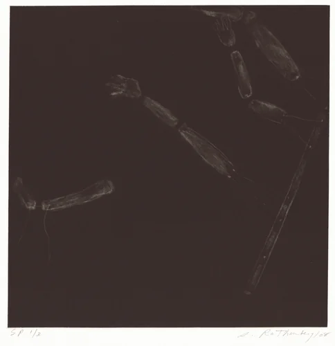 Puppet Series #3 by Susan Rothenberg
Case Hudson
Gemini G.E.L., print, 2008