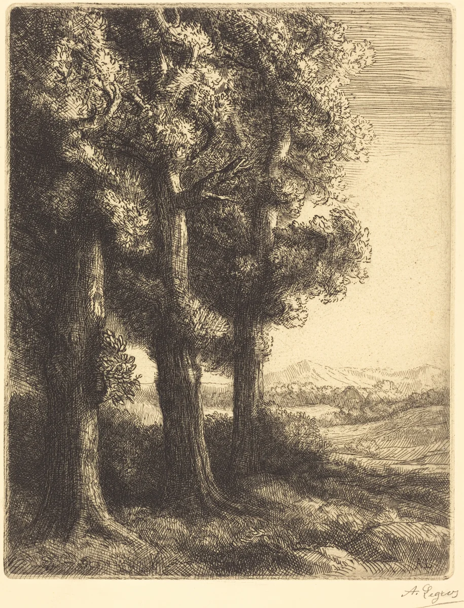 Corner of a Wood (Coin d'un bois) by Alphonse Legros, print, 1837-1911