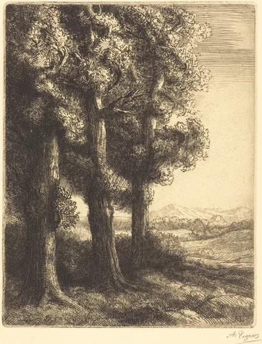 Corner of a Wood (Coin d'un bois) by Alphonse Legros, print, 1837-1911