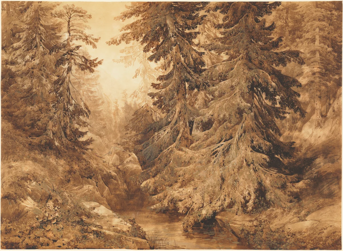An Ancient Pine Forest with a Mountain Stream by Alexandre Calame, drawing, 1847