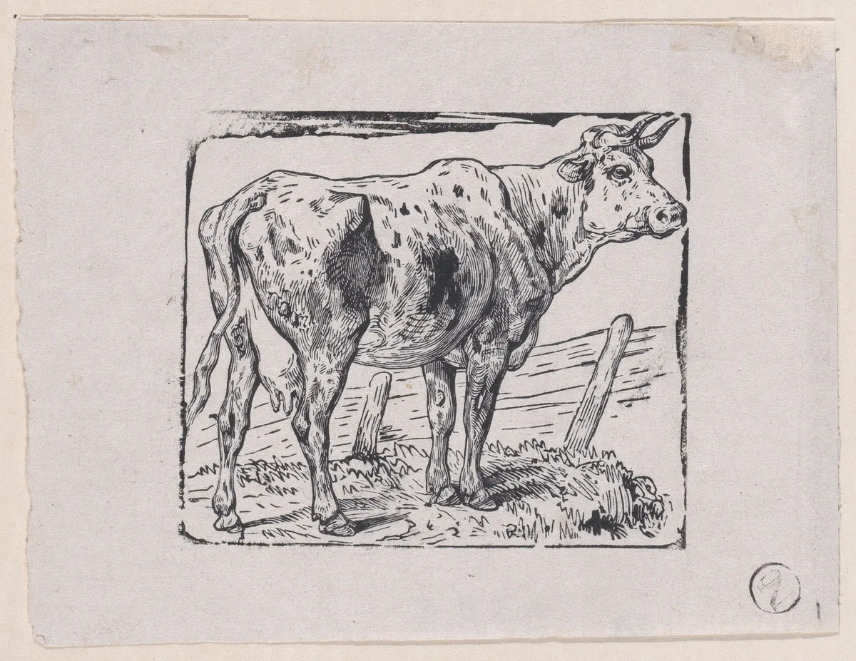 A Cow by Charles Jacque, print, 1848-1858