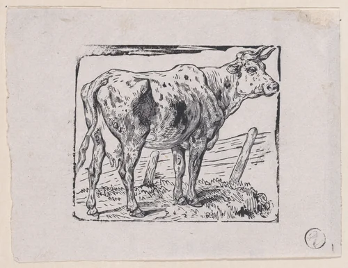 A Cow by Charles Jacque, print, 1848-1858