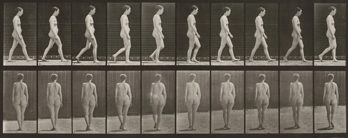 Plate Number 15. Walking by Eadweard Muybridge, photograph, 1887