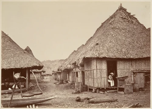 Tropical Scenery, Street, Chipigana by John Moran, photograph, 1871