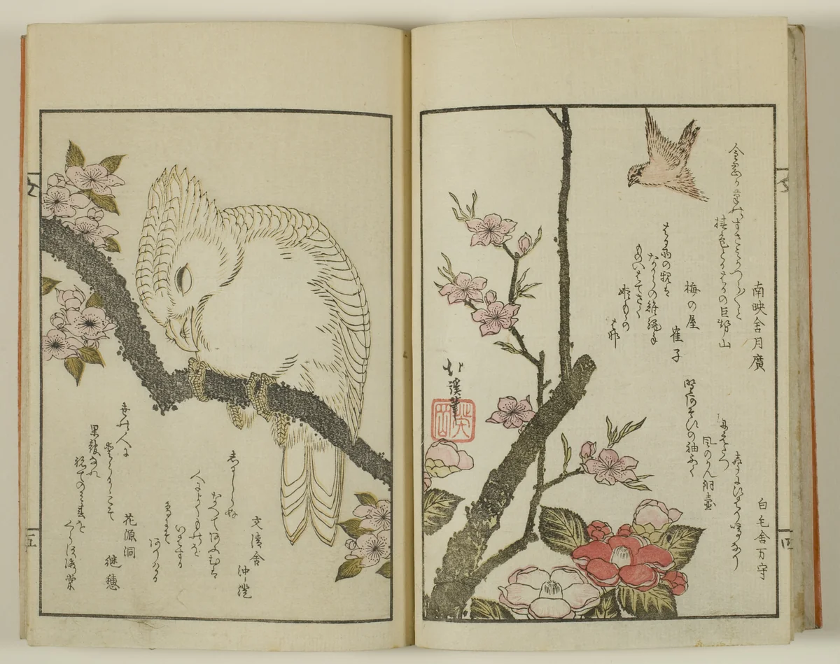 Kyoka hyakucho Kocho by Toyota Hokkei, book, 1780