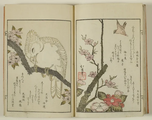 Kyoka hyakucho Kocho by Toyota Hokkei, book, 1780