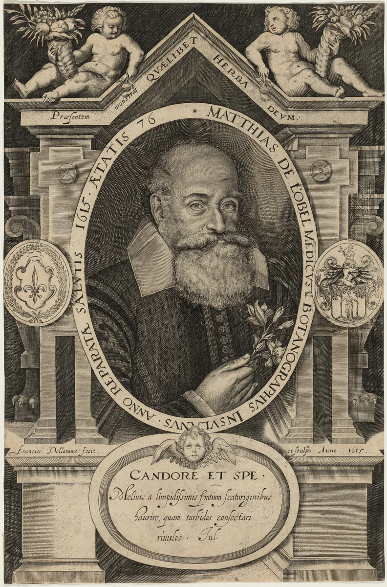 Matthias de l'Obel by Francis Delaram, print, 1615