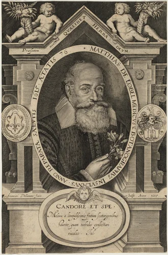 Matthias de l'Obel by Francis Delaram, print, 1615