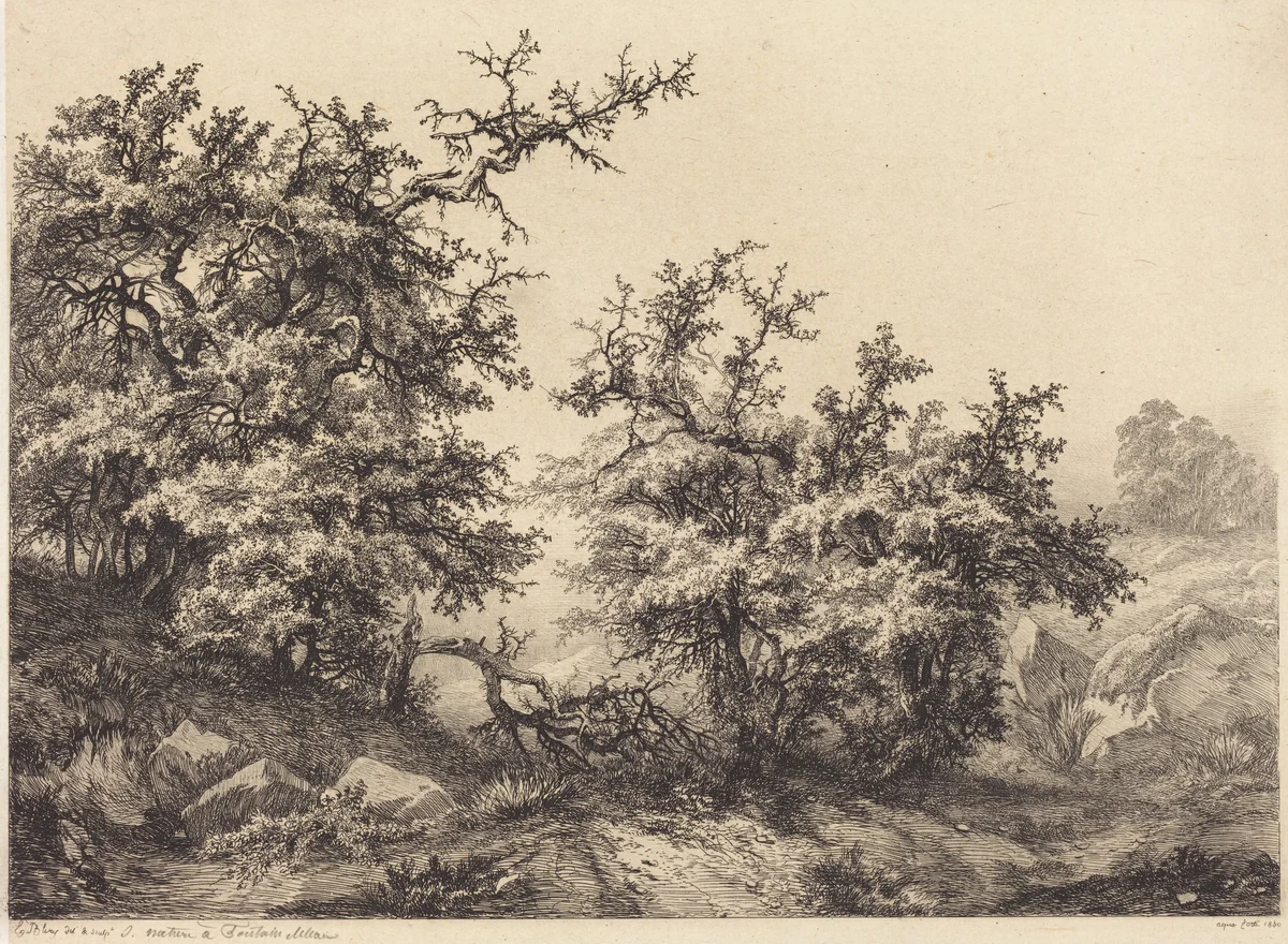 Thornbushes by Eugène Bléry, portfolio, 1840