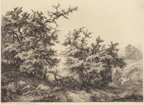 Thornbushes by Eugène Bléry, portfolio, 1840