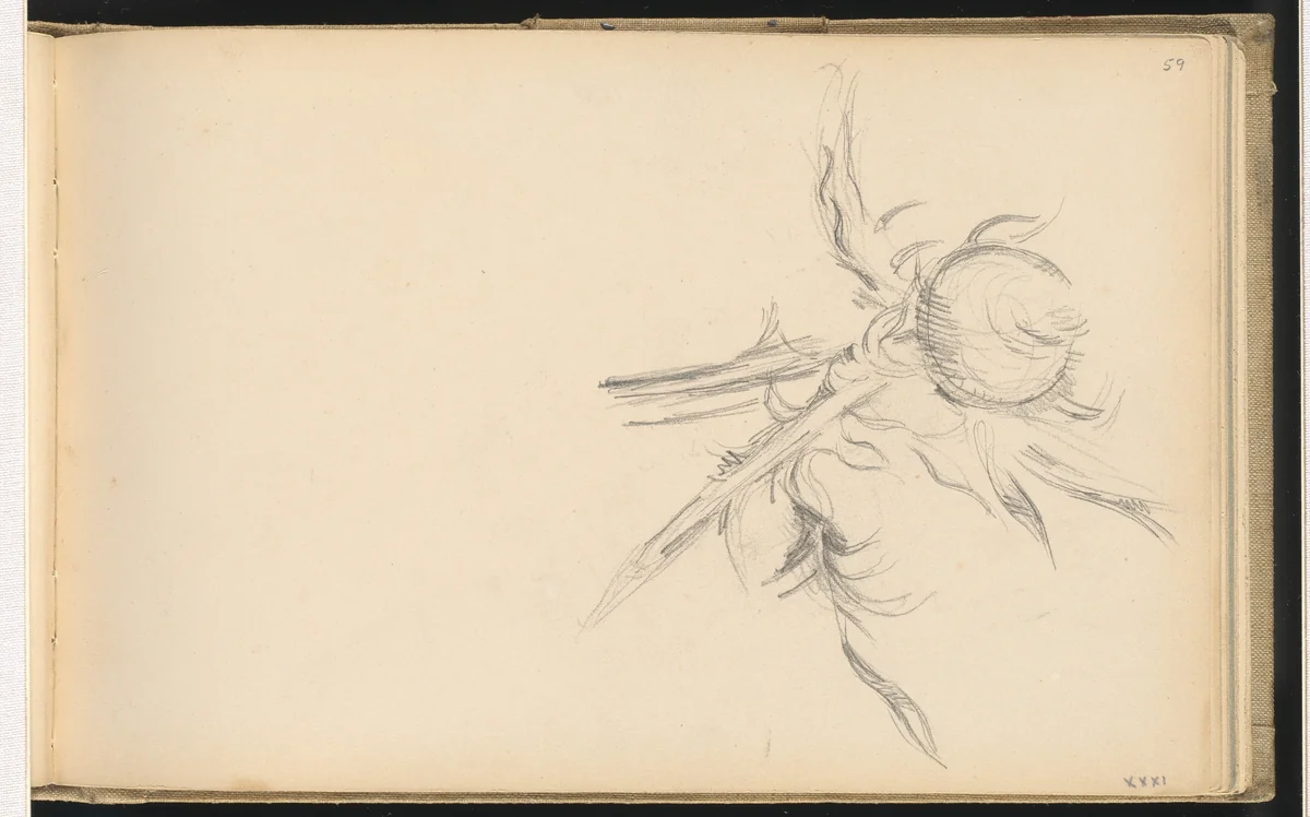 Thistle by Paul Cezanne, drawing, 1893-1896