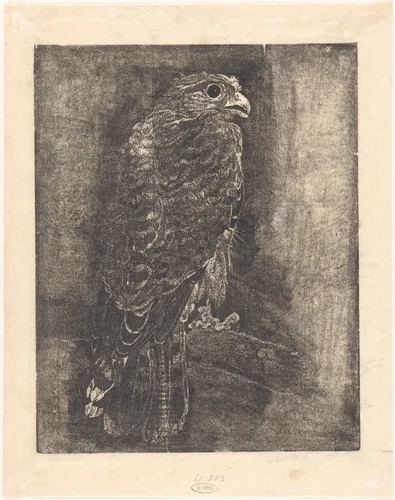 Valk op een tak by Emilius Wilhelmus Dehé, print, 1896-1947