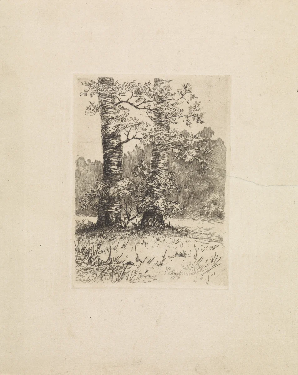 Twee bomen by Elias Stark, print, 1886