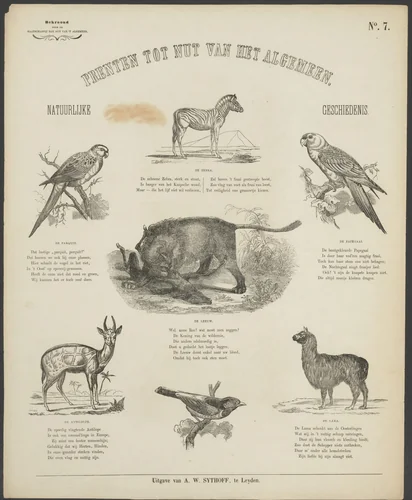 Vogels en zoogdieren by anonymous, print, 1851-1929