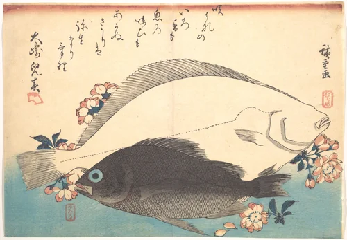 Hirame and Mebaru Fish with Cherry Blossoms, from the series Uozukushi (Every Variety of Fish) by Utagawa Hiroshige (歌川広重), print, 1840-1849