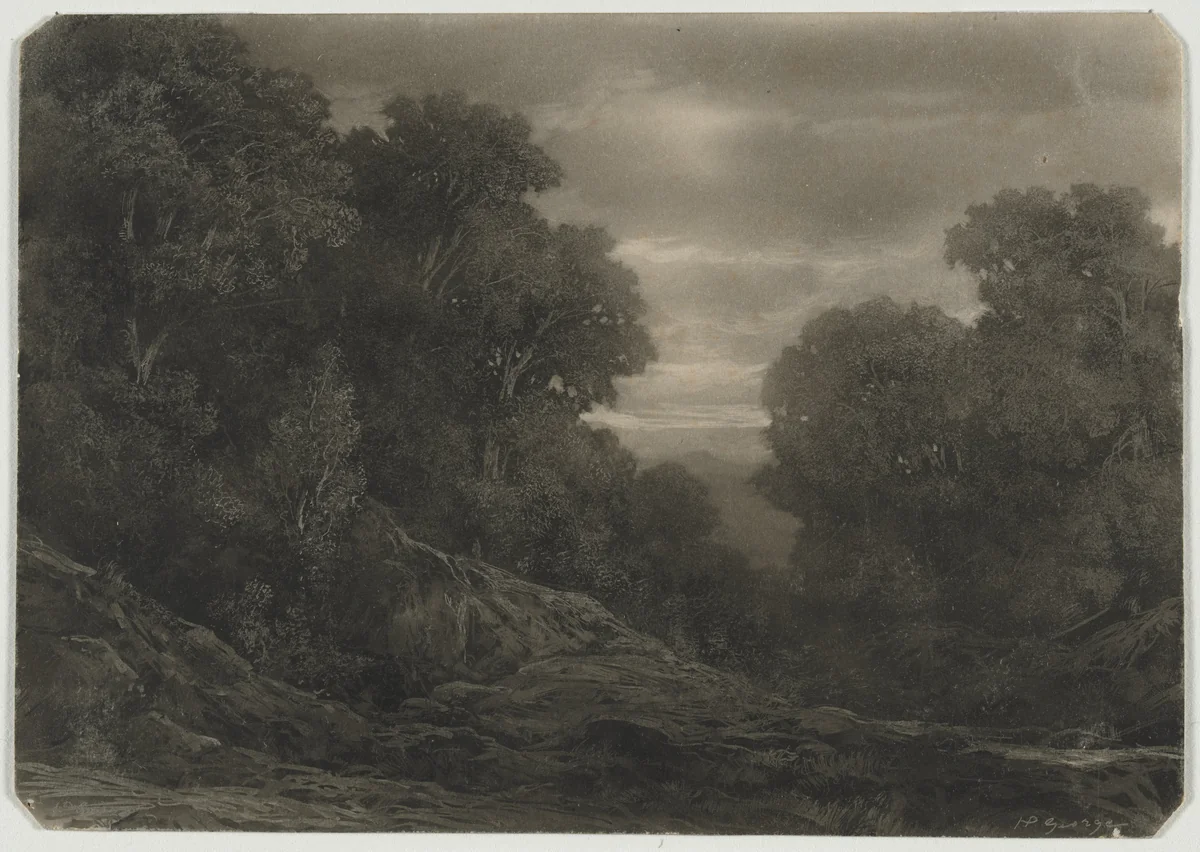 Landscape with Trees by Jean-Philippe George, drawing