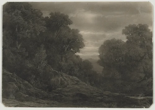 Landscape with Trees by Jean-Philippe George, drawing