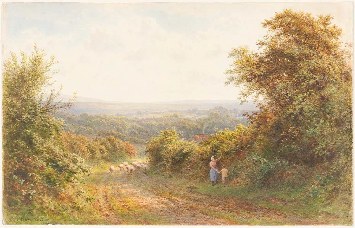 Squirrel Lane, near Magham Down, Sussex by Roberto Angelo Kittermaster Marshall, drawing, 1849-1902