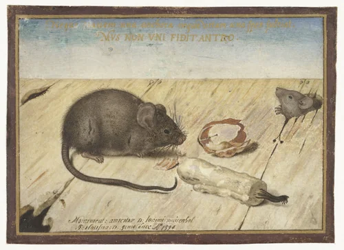 Twee muizen by Joris Hoefnagel, drawing, 1594
