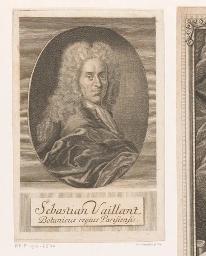 Portret van Sébastien Vaillant by Martin Bernigeroth, print, 1728
