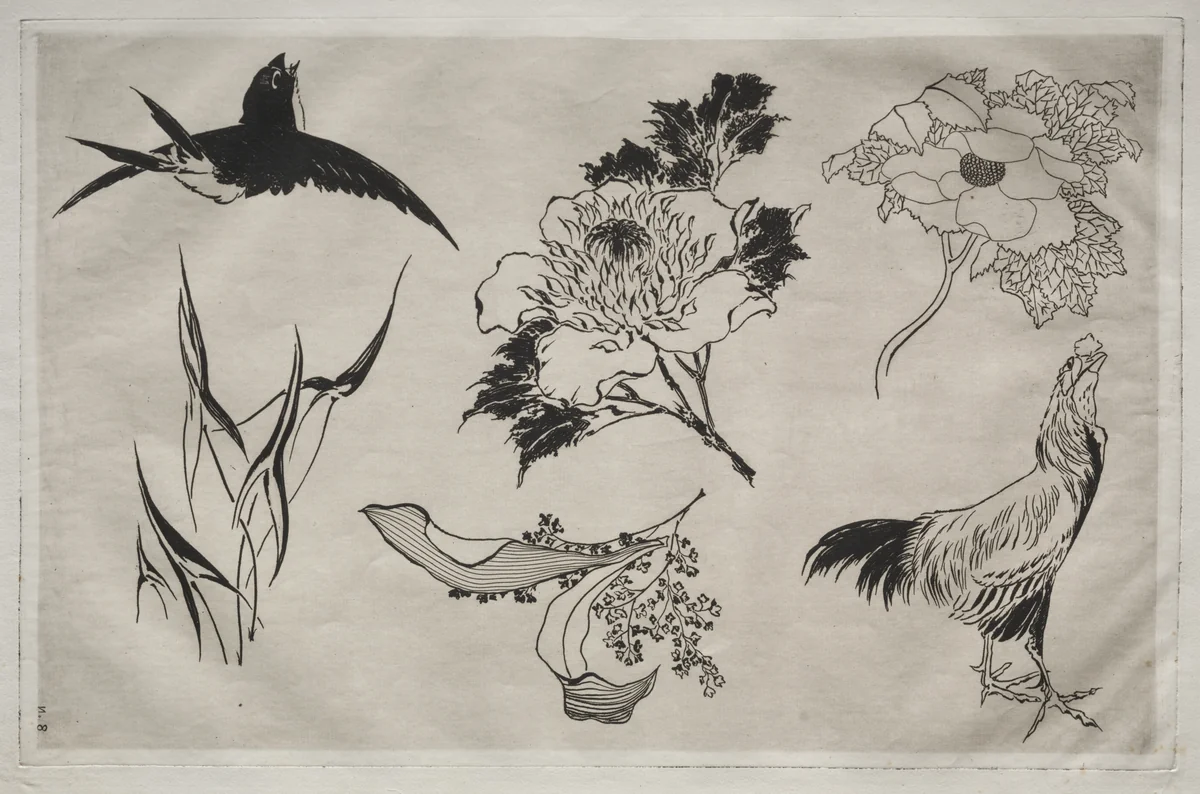 Dinner Service (Rousseau service): Swallow, Rooster and Flowers (no. 8) by Félix Bracquemond, print, 1866