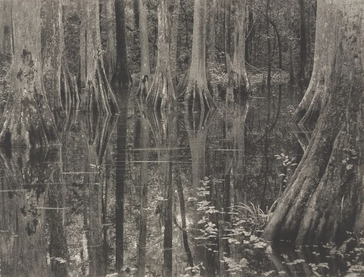 Untitled by Doris Ulmann, photograph, 1929