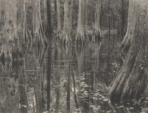 Untitled by Doris Ulmann, photograph, 1929