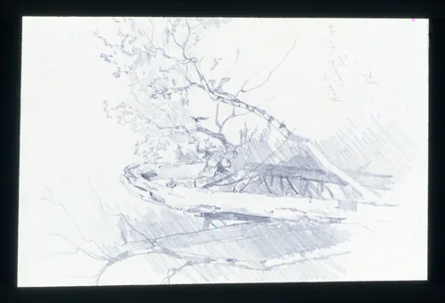 Birch Tree, Niagara by John Frederick Kensett, artwork, 1851