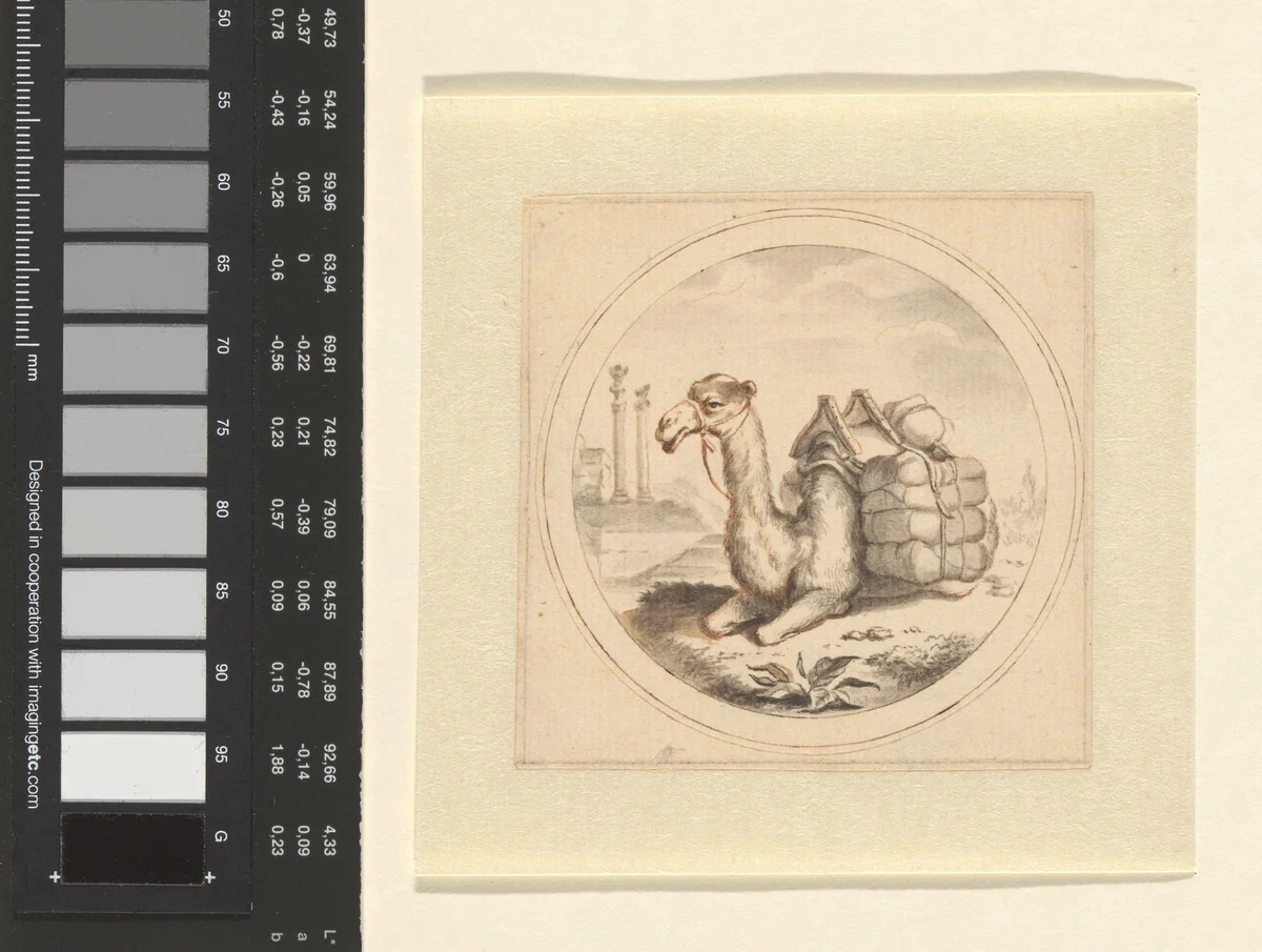 Een Kameel by Arnold Houbraken, drawing, 1670-1719