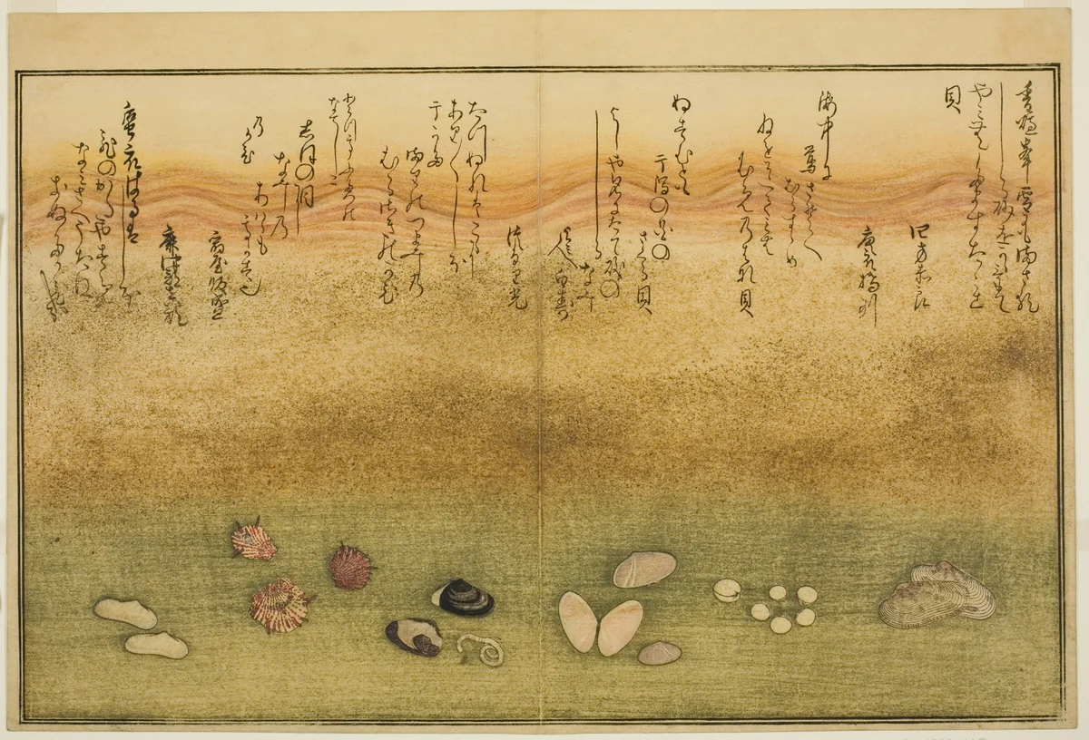 Sudare-gai, hana-gai, sakura-gai, mumeno-gai, nadeshiko-gai, and kinuta-gai, from the illustrated book "Gifts from the Ebb Tide (Shiohi no tsuto)" by Kitagawa Utamaro (喜多川歌麿), print, 1789