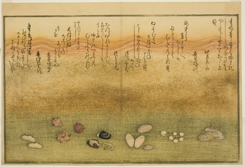 Sudare-gai, hana-gai, sakura-gai, mumeno-gai, nadeshiko-gai, and kinuta-gai, from the illustrated book "Gifts from the Ebb Tide (Shiohi no tsuto)" by Kitagawa Utamaro (喜多川歌麿), print, 1789