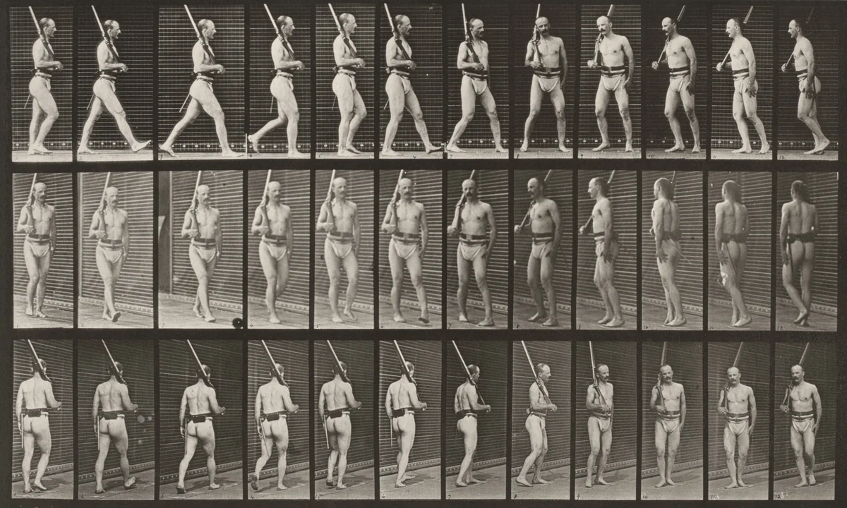 Plate Number 355. On guard, walking and turning around by Eadweard Muybridge, photograph, 1887