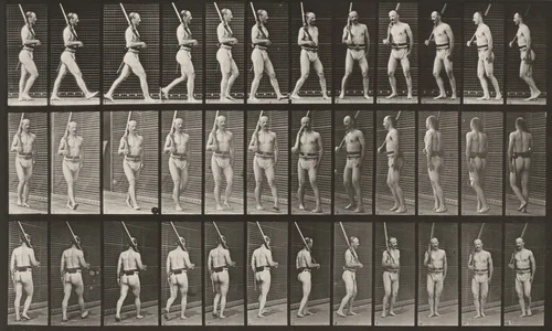 Plate Number 355. On guard, walking and turning around by Eadweard Muybridge, photograph, 1887