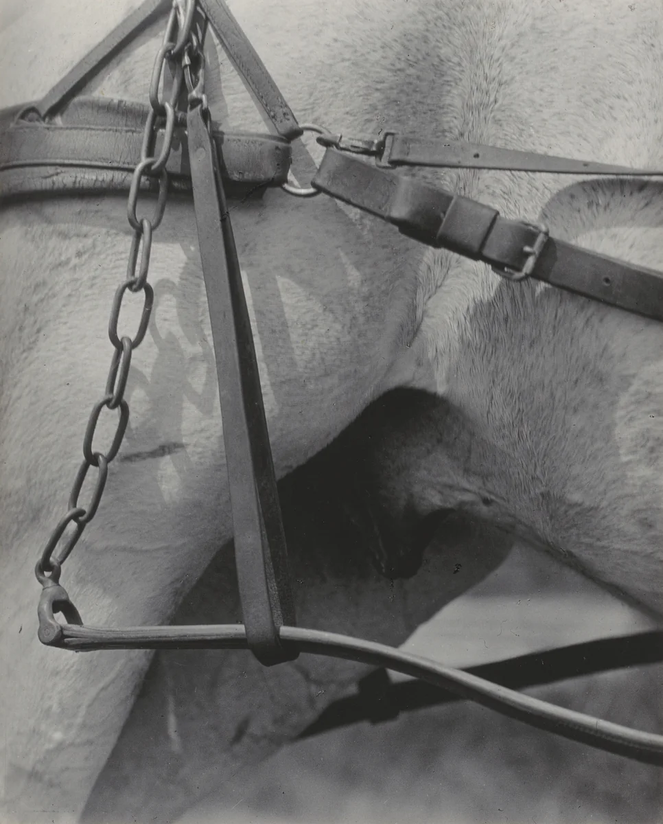 Spiritual America or Songs of the Sky A1 by Alfred Stieglitz, photograph, 1923