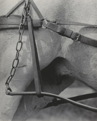 Spiritual America or Songs of the Sky A1 by Alfred Stieglitz, photograph, 1923