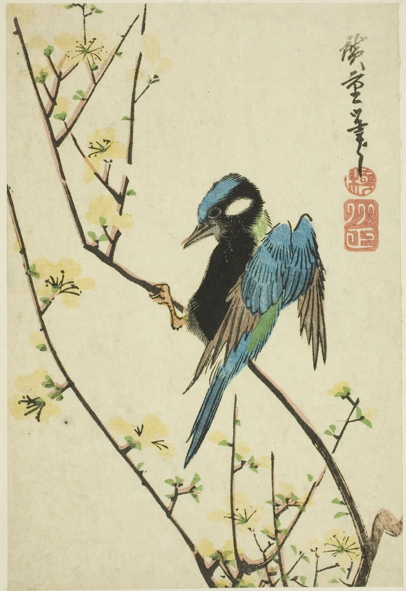 Java sparrow on cherry branch by Utagawa Hiroshige (歌川広重), print, 1825-1849