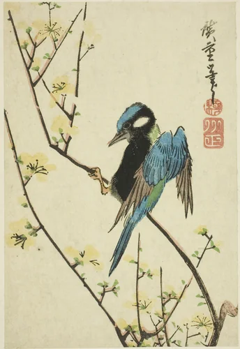 Java sparrow on cherry branch by Utagawa Hiroshige (歌川広重), print, 1825-1849