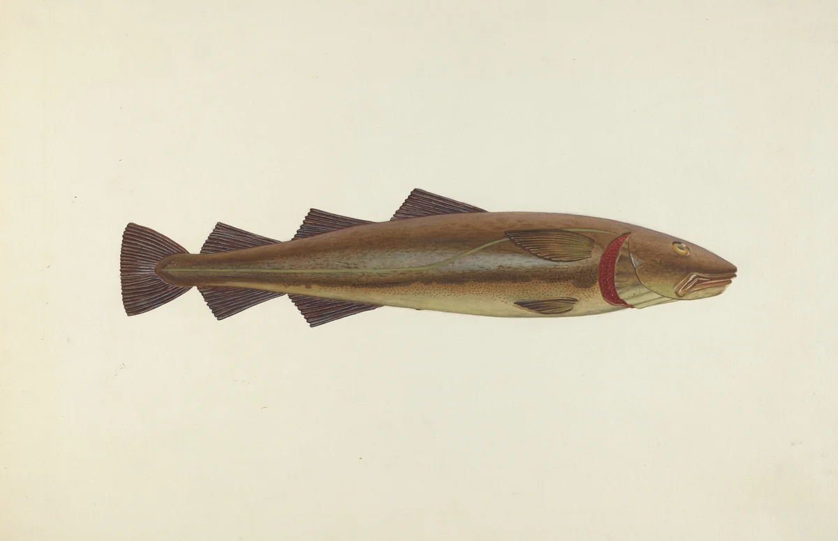 Sacred Cod by John W. Kelleher, index of american design, 1940