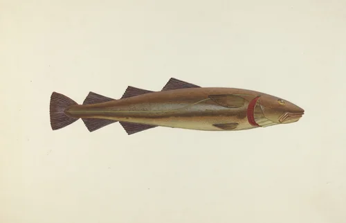 Sacred Cod by John W. Kelleher, index of american design, 1940
