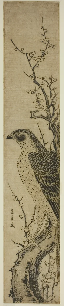 Hawk on a Cherry Tree by Utagawa Toyohiro (歌川豊広), print, 1773-1828