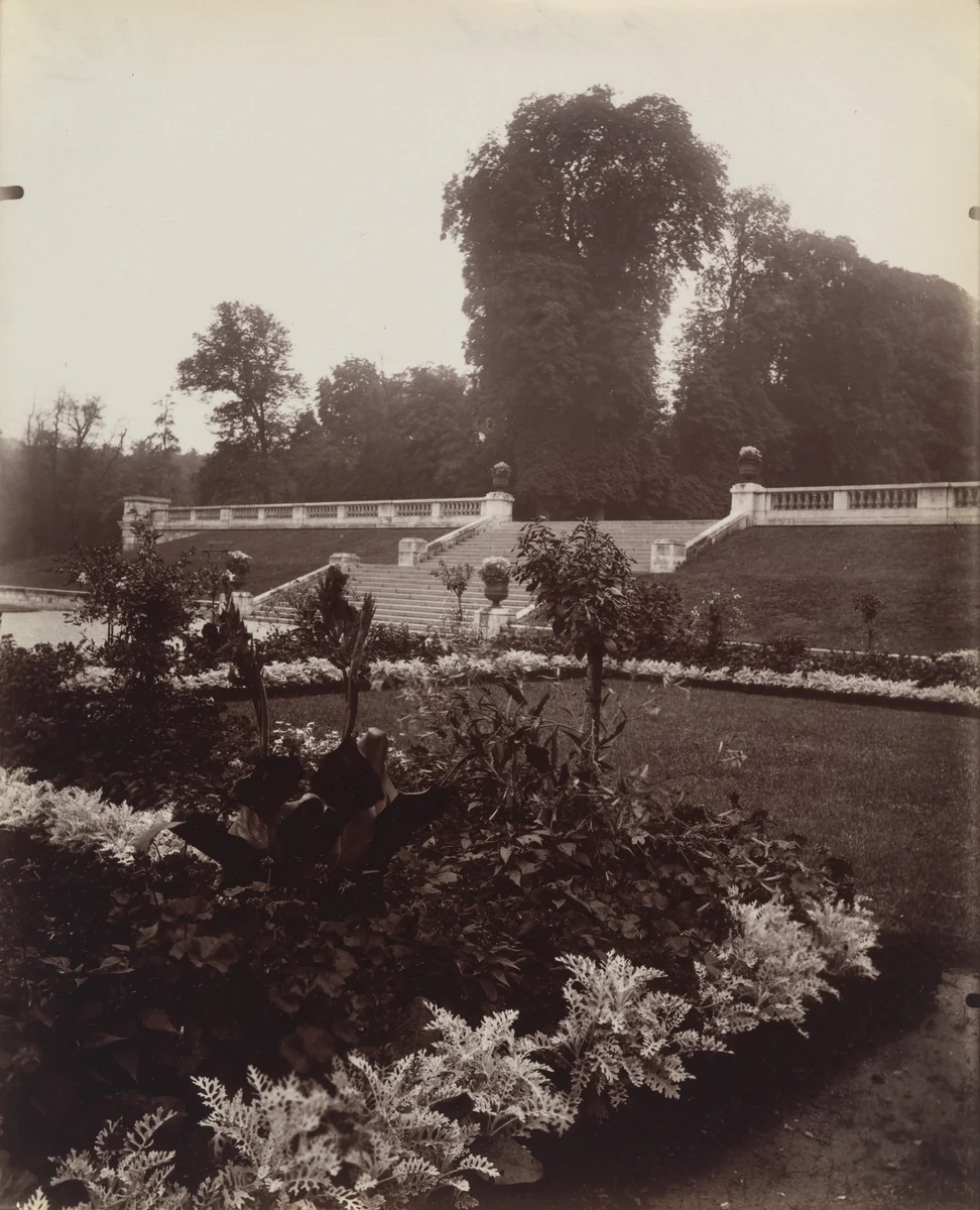 Saint-Cloud by Eugène Atget, photograph, 1922