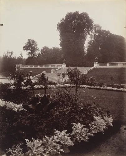 Saint-Cloud by Eugène Atget, photograph, 1922