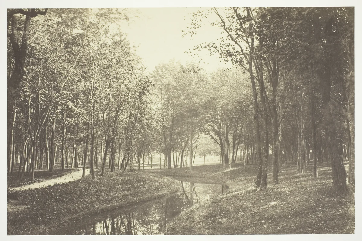 Untitled, from the series Bois de Boulogne" by Charles Marville, photograph, 1845-1855