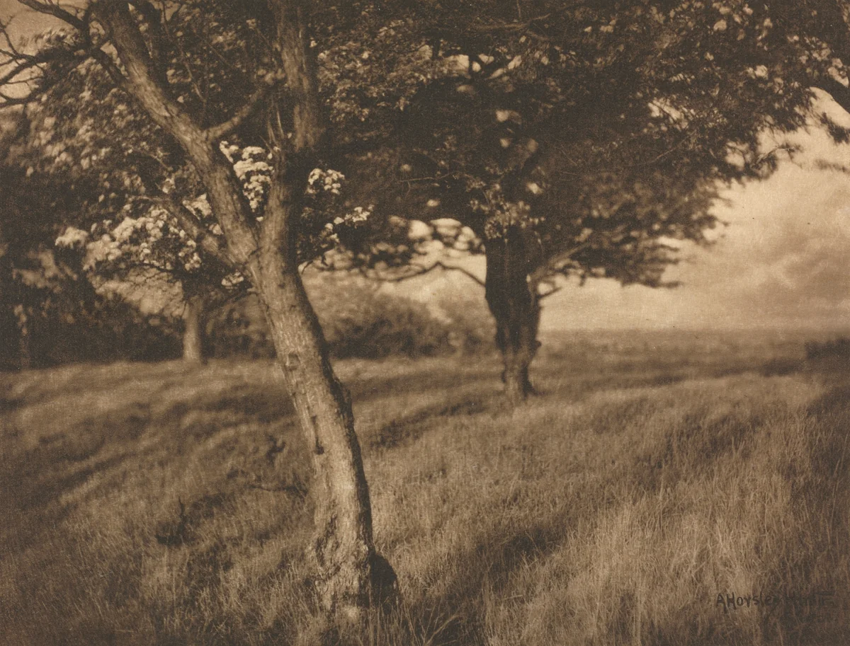 Camera Work: Beyond by A. Horsley Hinton, book, 1905